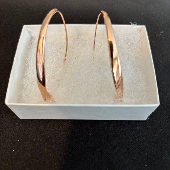 Earrings - Picture 1 of 2